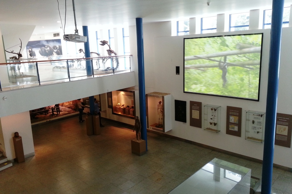 PAVILON ANTHROPOS V BRNĚ