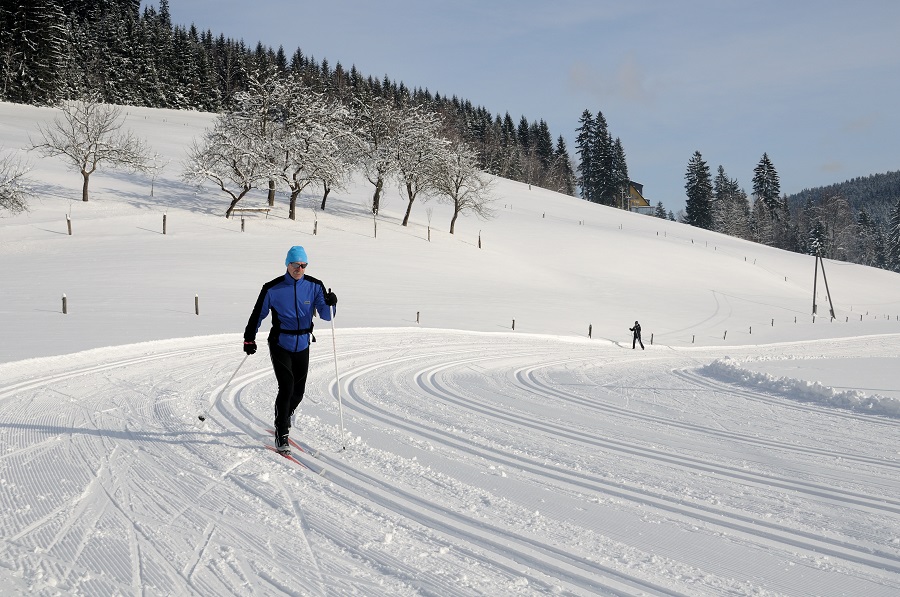 SPA HOTEL LANTERNA VE VELKCH KARLOVICCH