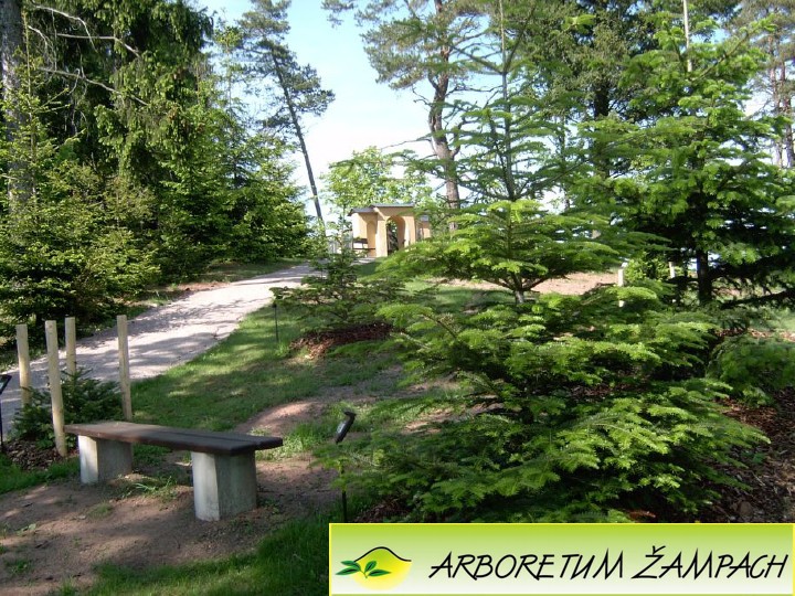 ARBORETUM ŽAMPACH