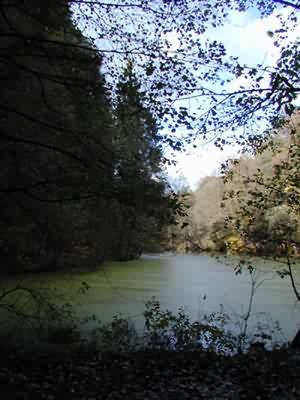 Černý rybník
