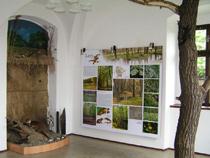 Výstavní expozice